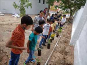 Tree Plantation - AY 2022 - 23